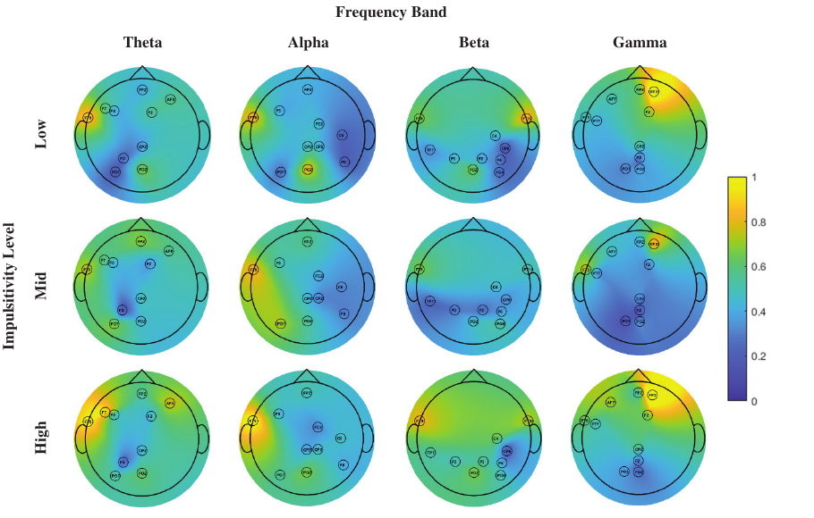 EEG topographies across impulsivity levels. Int. J. Neural Systems (2023).